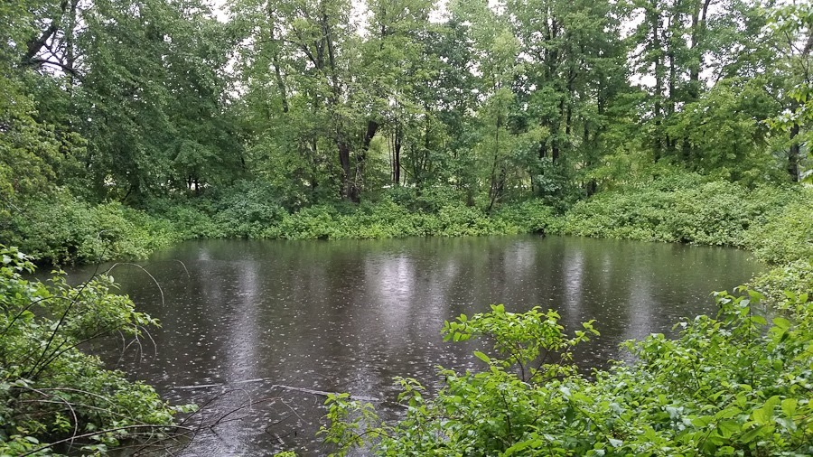 Summer_2018_Day08_008