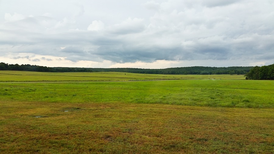 Summer_2018_Day09_016 Summer_2018_Day09_016