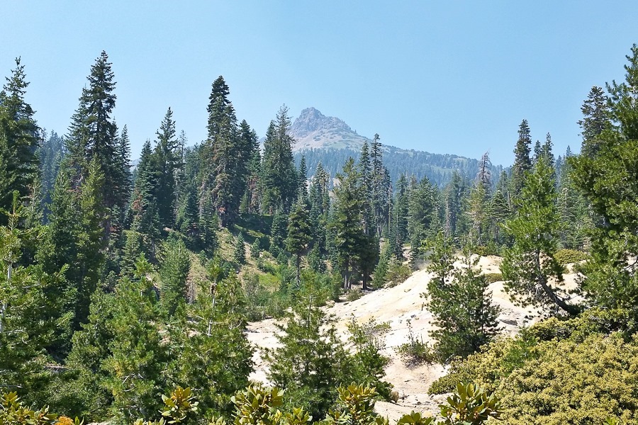 Summer_2018_Day27_005