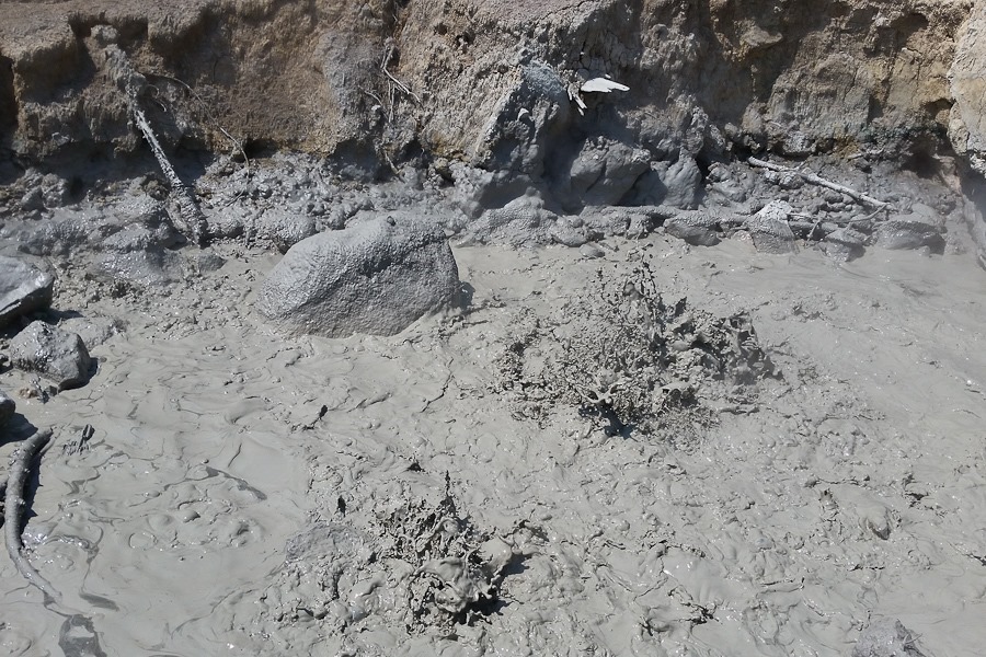 Summer_2018_Day27_009