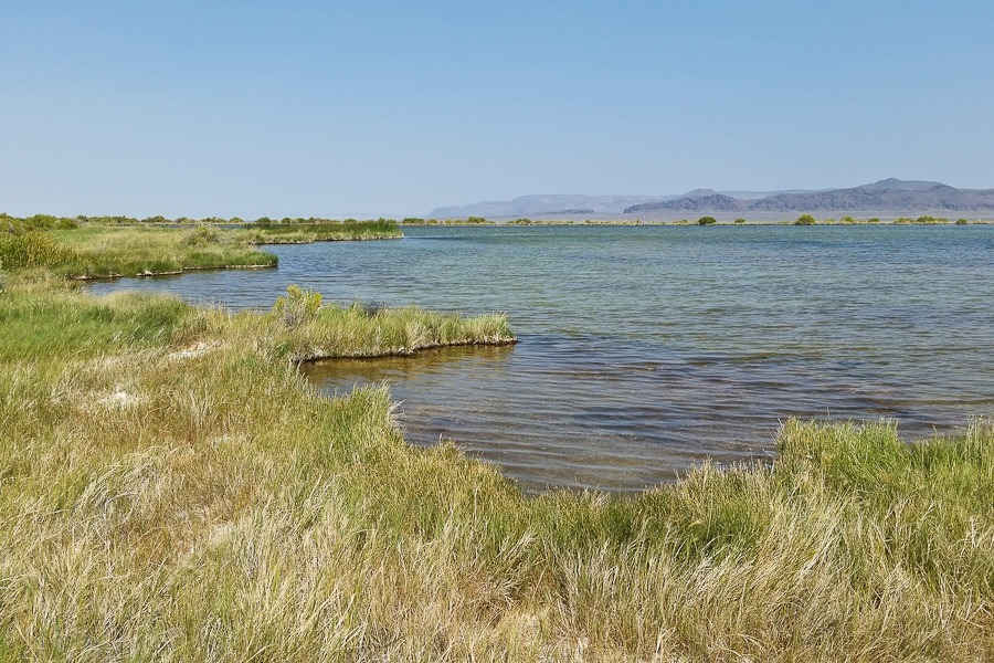 Summer_2018_Day31_013