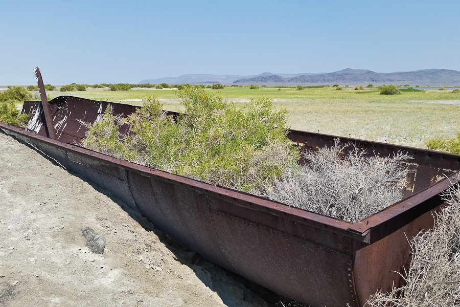 Summer_2018_Day31_014