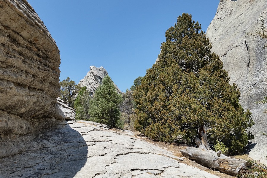Summer_2018_Day33_023