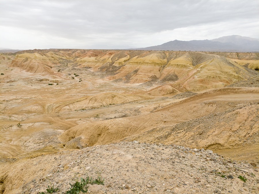 0203201105 0203201105