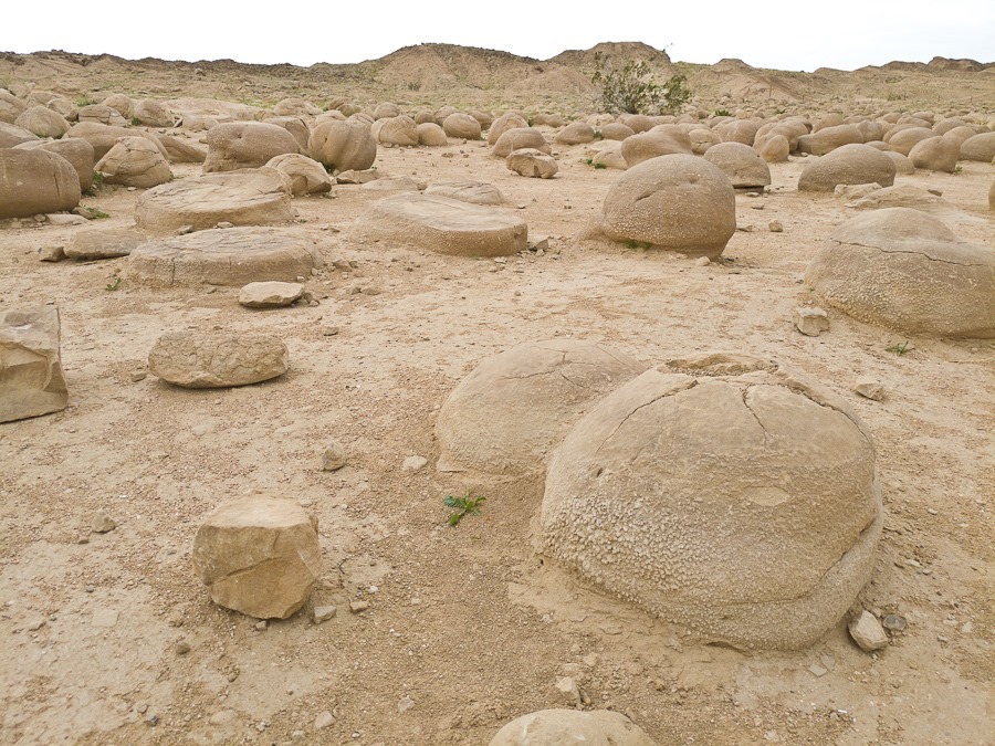 0203201212c 0203201212c