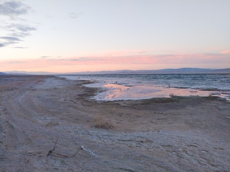 0203201723 0203201723