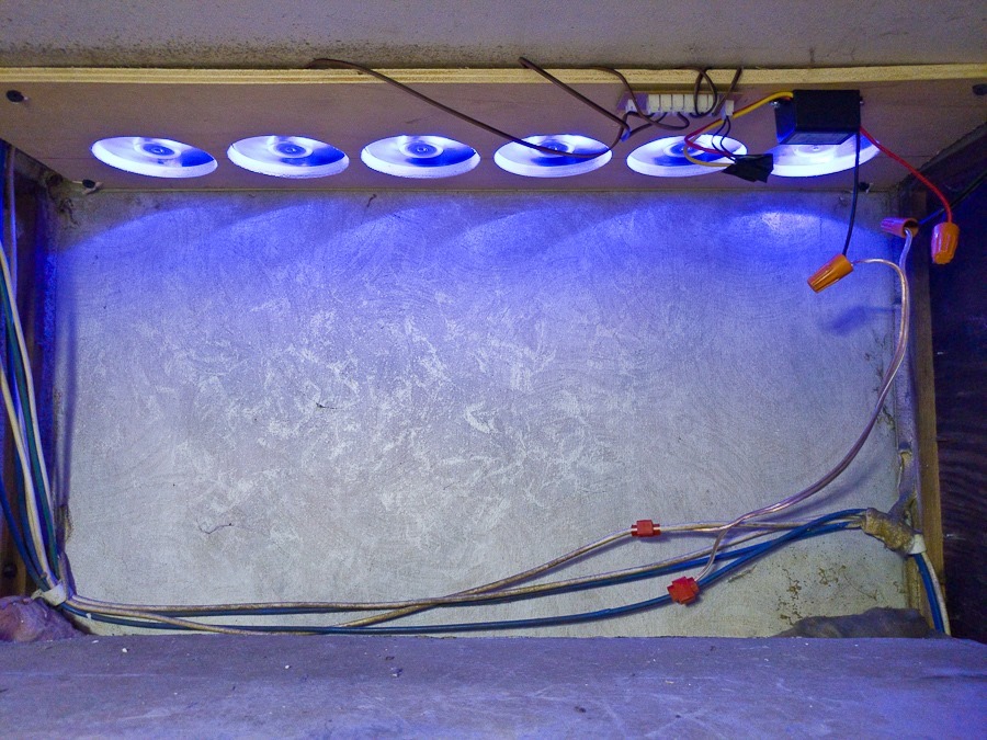 Spring21_RV_Prep_005