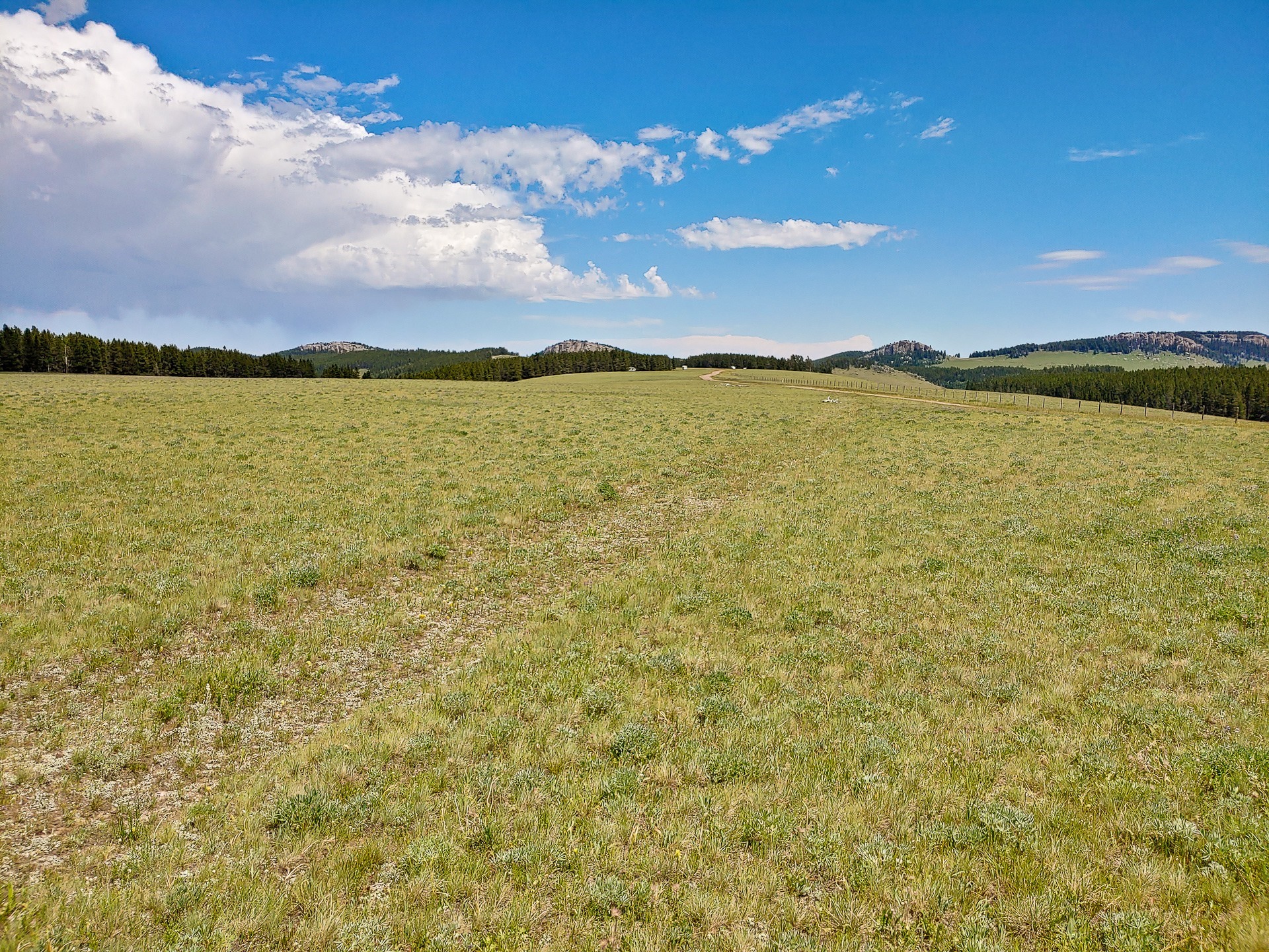 Summer22_Day17_004 Summer22_Day17_004