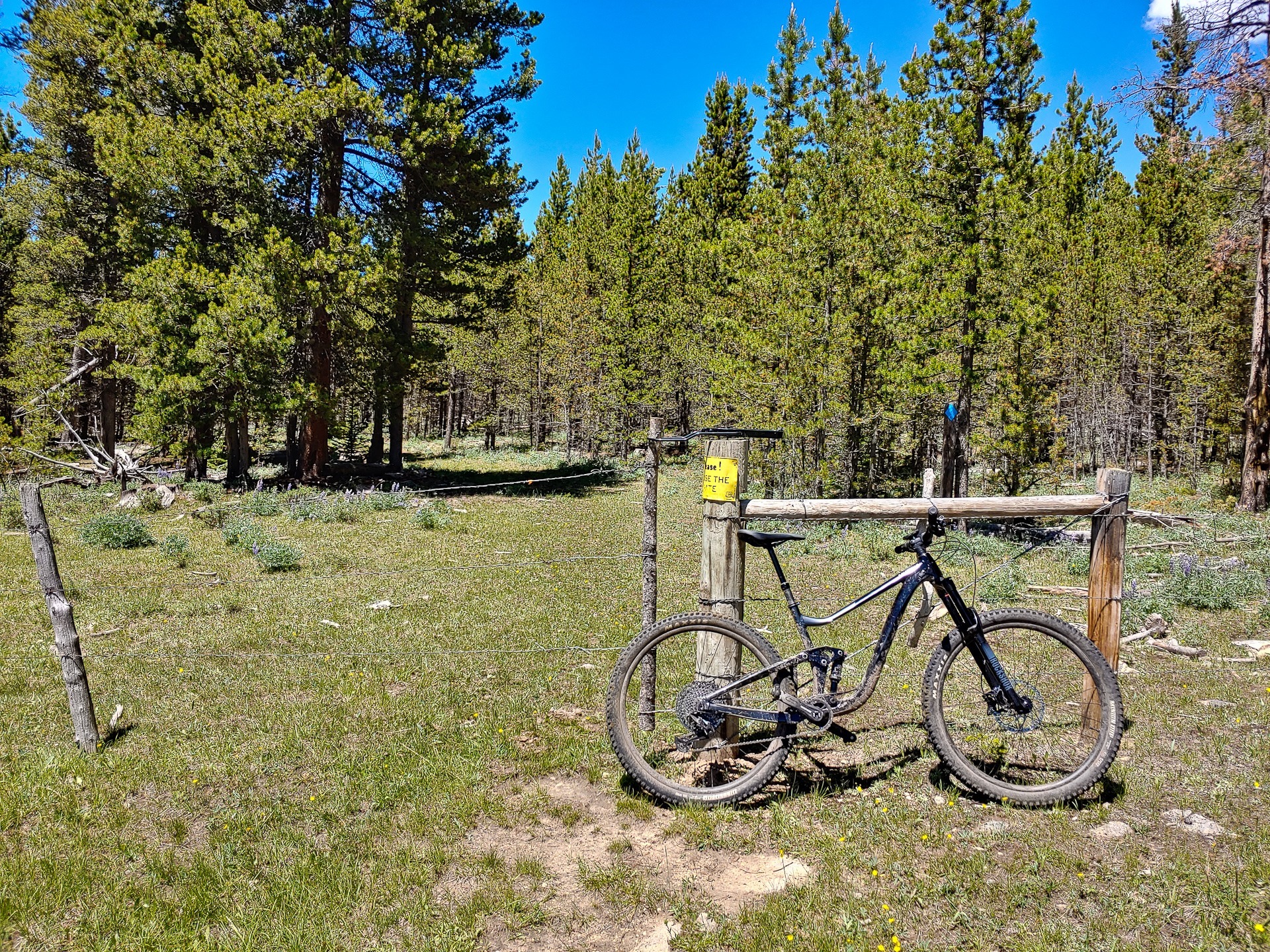 Summer22_Day18_001 Summer22_Day18_001