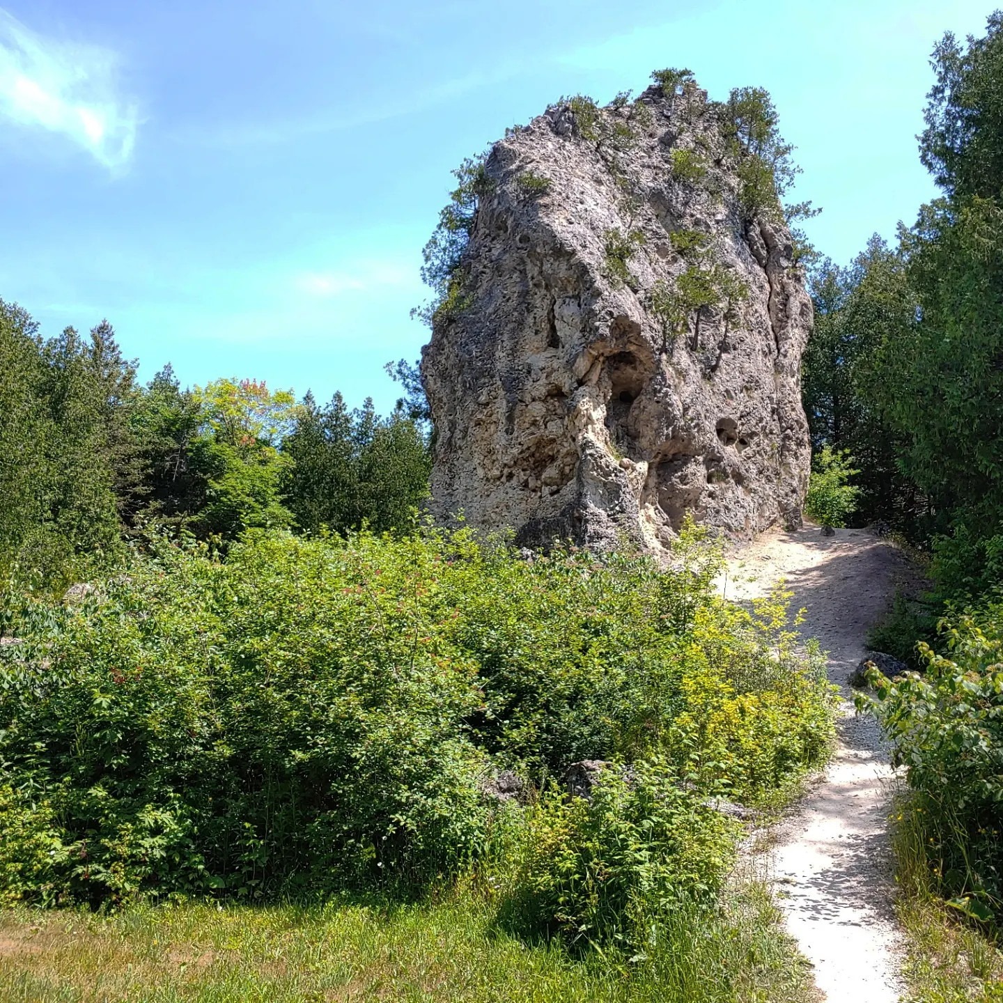 IMG_20230705_183054_361