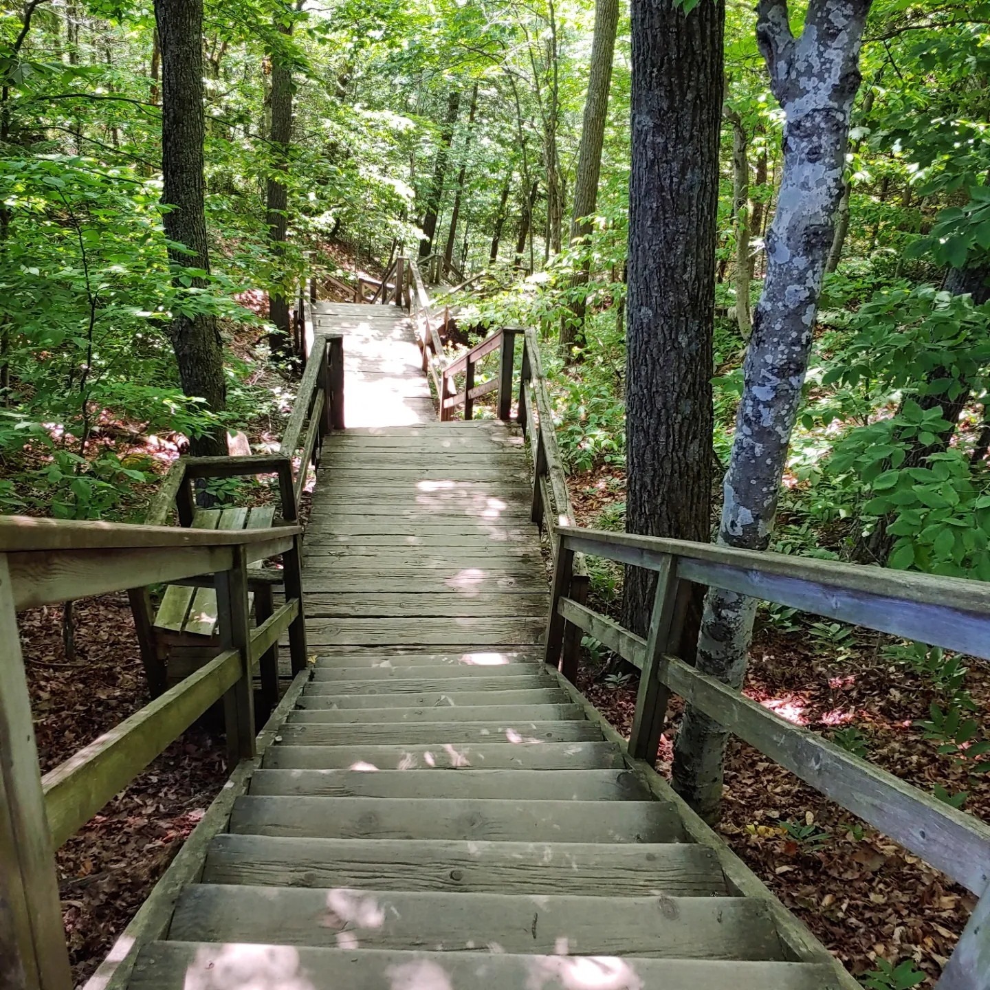 IMG_20230705_183054_375