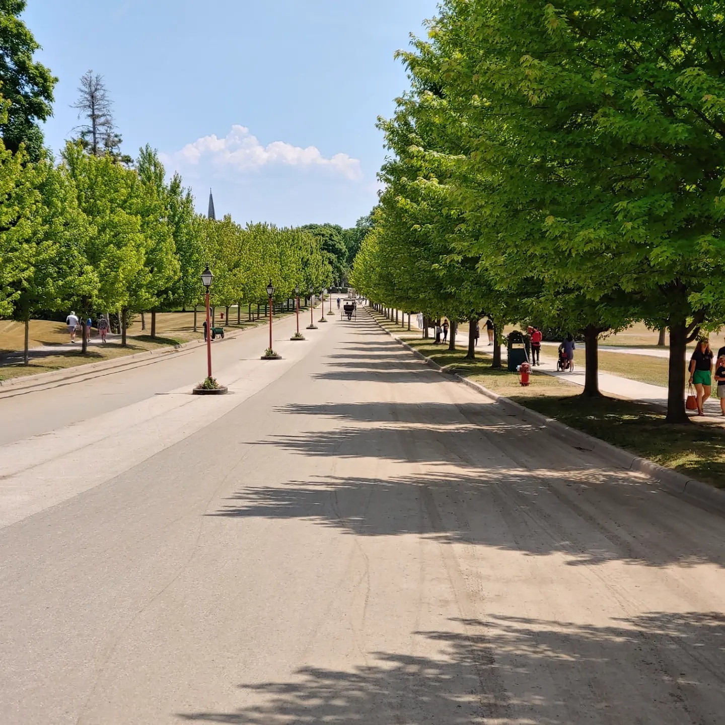 IMG_20230705_184426_437