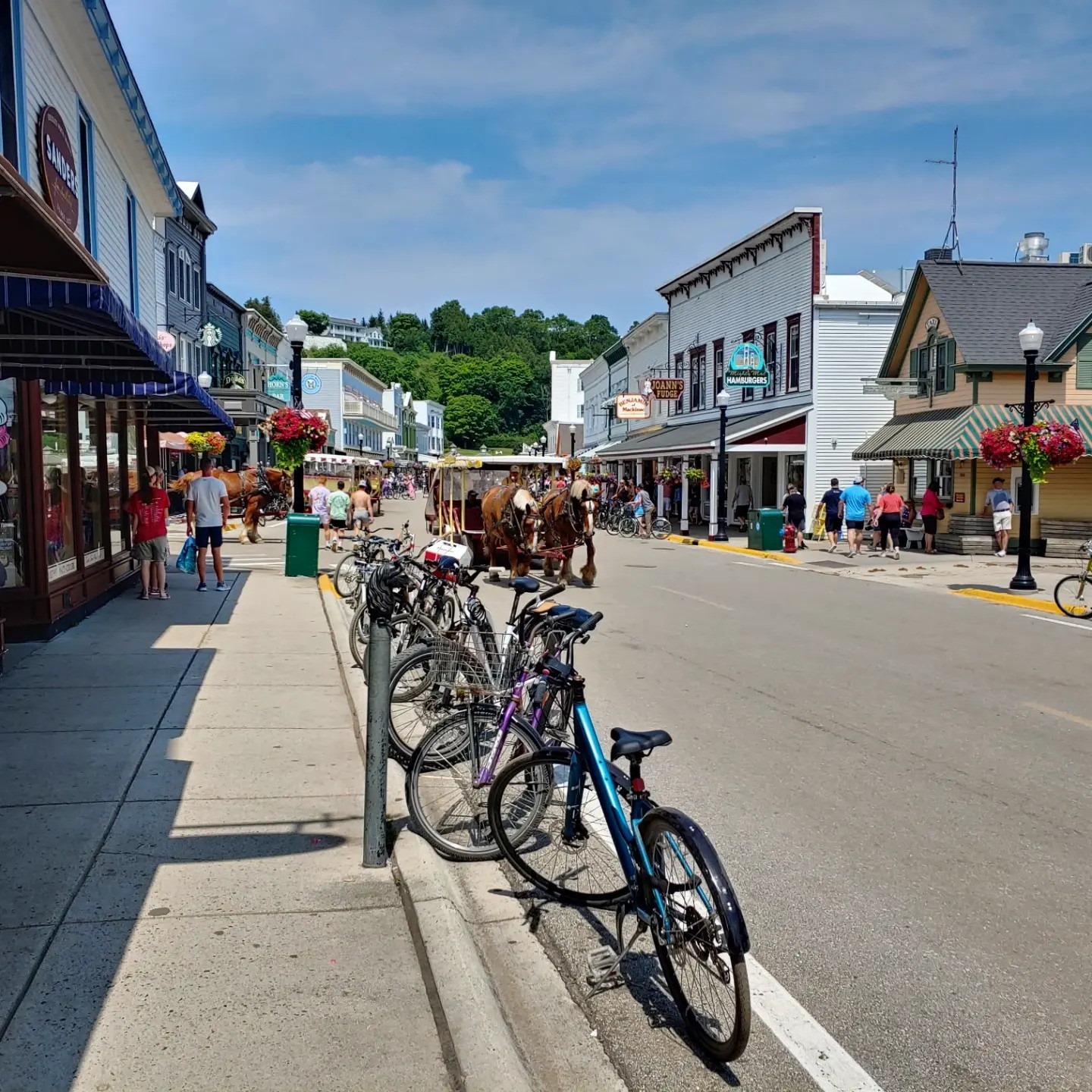 IMG_20230705_184426_457